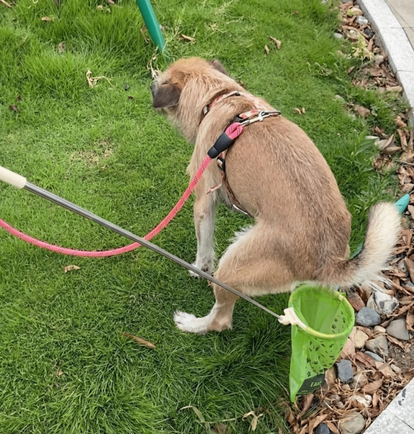 The Paws N Go Telescopic Wand